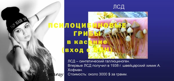 прущая мука Киреевск