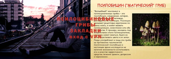 прущая мука Киреевск