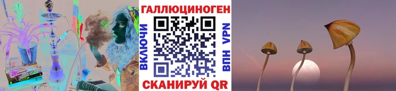Купить  Лаишево  Галлюциногенные грибы Magic Shrooms 