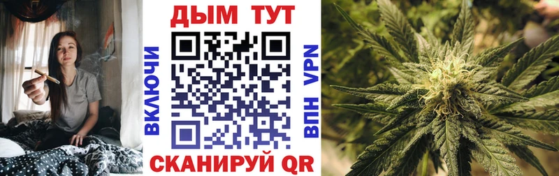 Купить  Лаишево  Шишки марихуана семена 